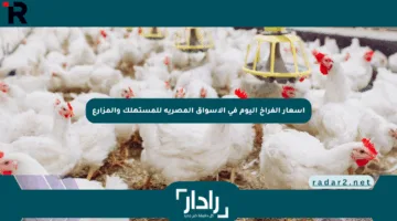 أسعار الفراخ اليوم في الأسواق المصرية للمستهلك والمزارع